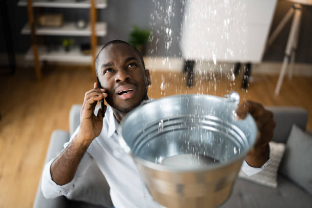 Best Water damage restoration near me  in Amityville, NY