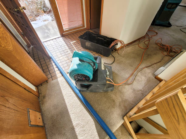 Best Commercial water damage restoration  in Amityville, NY