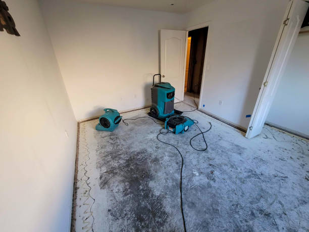 Best Flood damage cleanup  in Amityville, NY