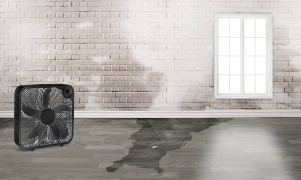Best 24/7 water damage repair  in Amityville, NY