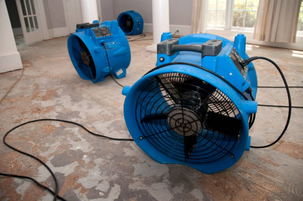 Best Local water damage restoration  in Amityville, NY