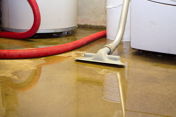 Best Carpet water damage restoration  in Amityville, NY