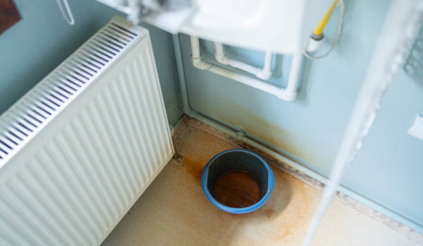 Best Professional water damage repair  in Amityville, NY