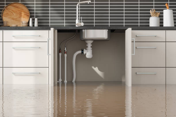 Best Fire Damage Restoration  in Amityville, NY