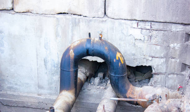Best Water damage cleanup near me  in Amityville, NY